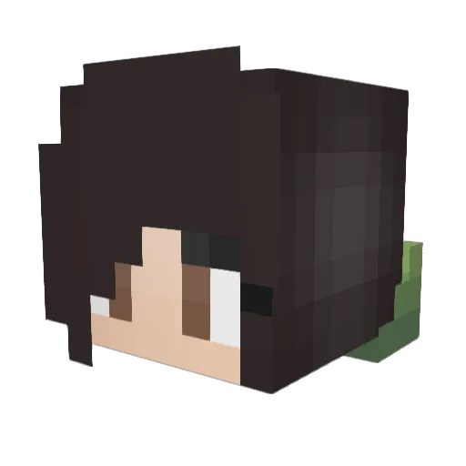 Eric_Strange Minecraft avatar head, 3D render