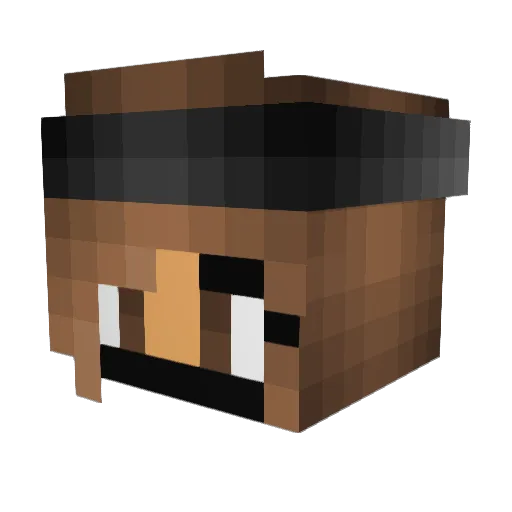 Erica_x7 Minecraft avatar head, 3D render