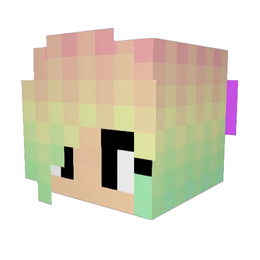 Ericape Minecraft avatar head, 3D render