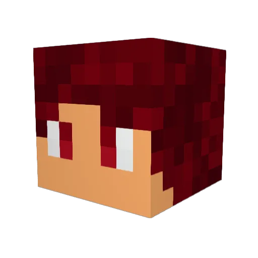 Erich1020 Minecraft avatar head, 3D render