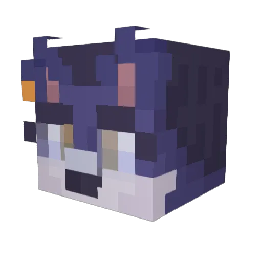 Erich211 Minecraft avatar head, 3D render