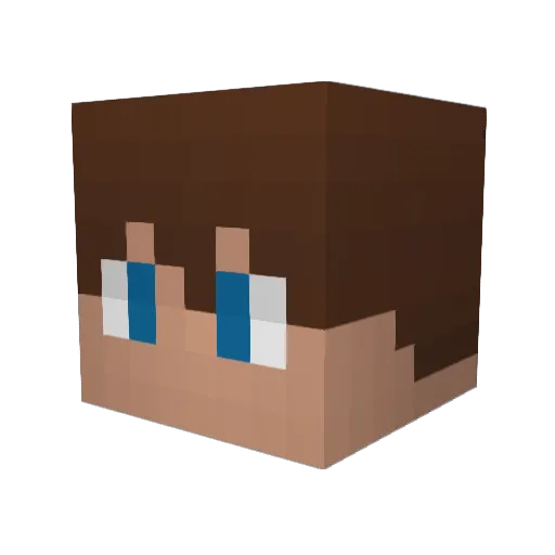 Ericimo Minecraft avatar head, 3D render