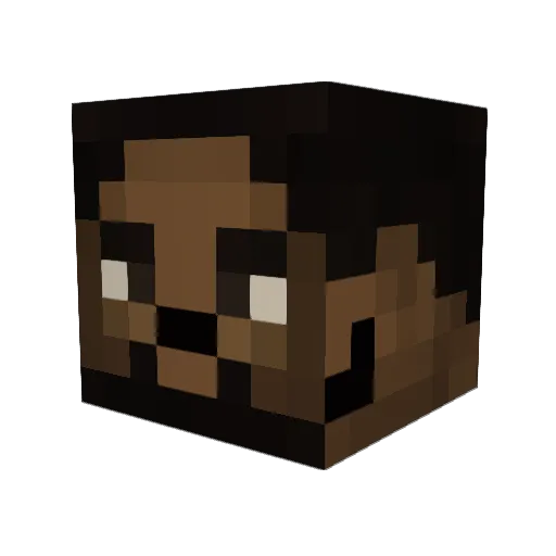 Erick6797 Minecraft avatar head, 3D render