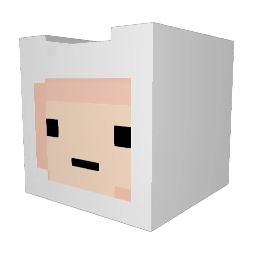 ErickCourage Minecraft avatar head, 3D render