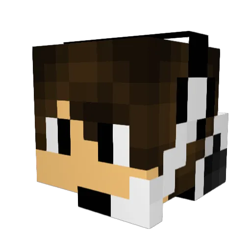 ErickGamer_ Minecraft avatar head, 3D render