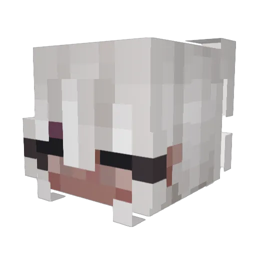 Ericnier Minecraft avatar head, 3D render