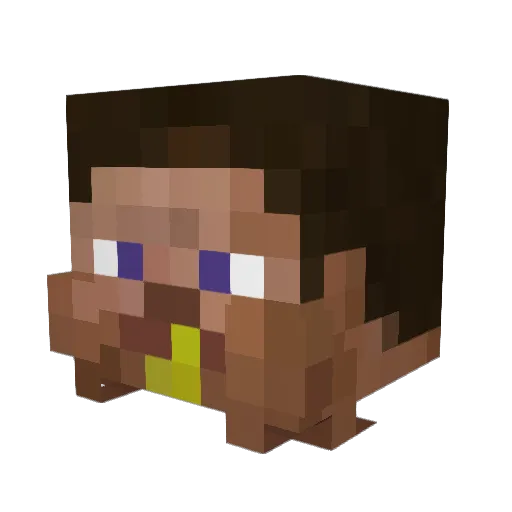 Ericoins Minecraft avatar head, 3D render