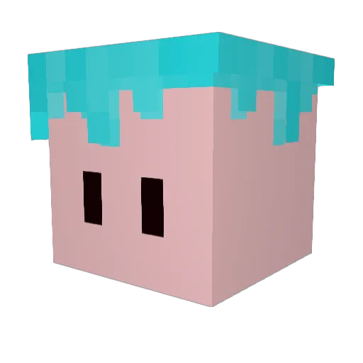 Ericristian_bros Minecraft avatar head, 3D render