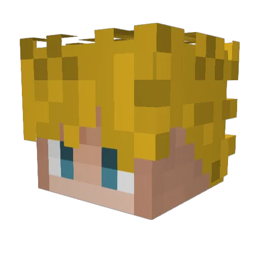 Ericrpg Minecraft avatar head, 3D render