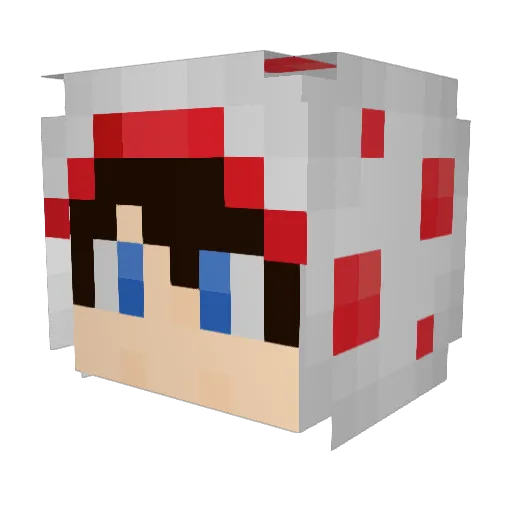 Ericuis Minecraft avatar head, 3D render