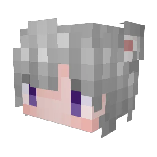 Ericvain Minecraft avatar head, 3D render