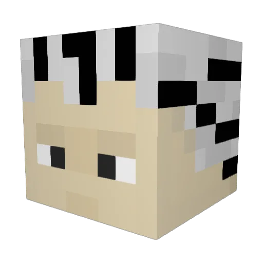 Ericyugy209 Minecraft avatar head, 3D render