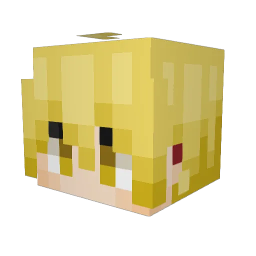 Ericzaummm Minecraft avatar head, 3D render