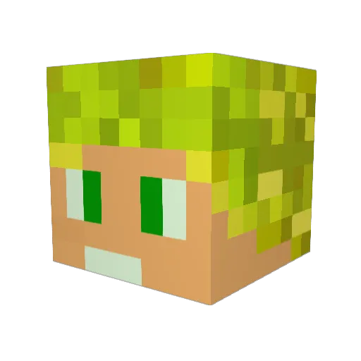Erifall Minecraft avatar head, 3D render