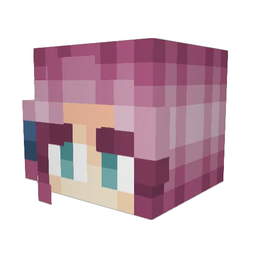 Erii_Erii Minecraft avatar head, 3D render