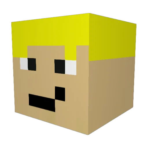 Erik21 Minecraft avatar head, 3D render