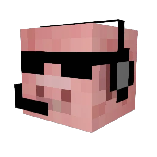 Erik26 Minecraft avatar head, 3D render