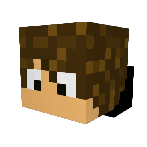 Erik5629 Minecraft avatar head, 3D render