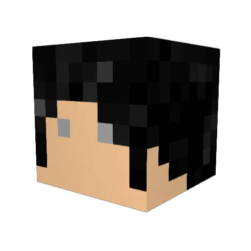 ErikAlexander Minecraft avatar head, 3D render