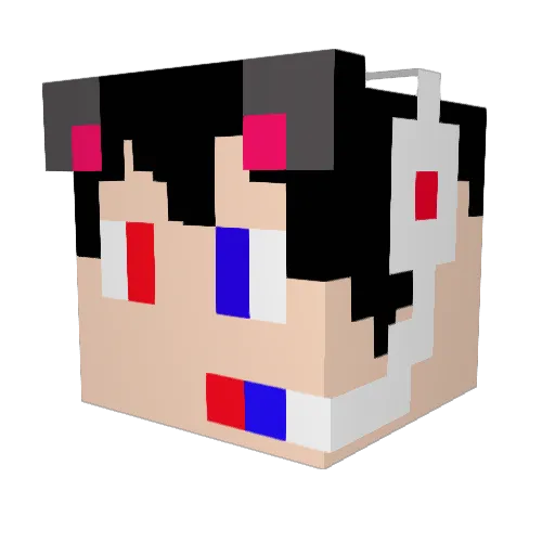 ErikGamer5001 Minecraft avatar head, 3D render