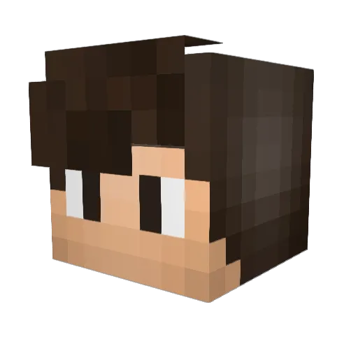 ErikHard01 Minecraft avatar head, 3D render