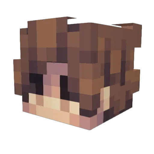 ErikLightning Minecraft avatar head, 3D render