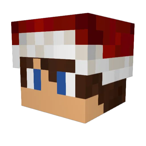 ErikN04 Minecraft avatar head, 3D render