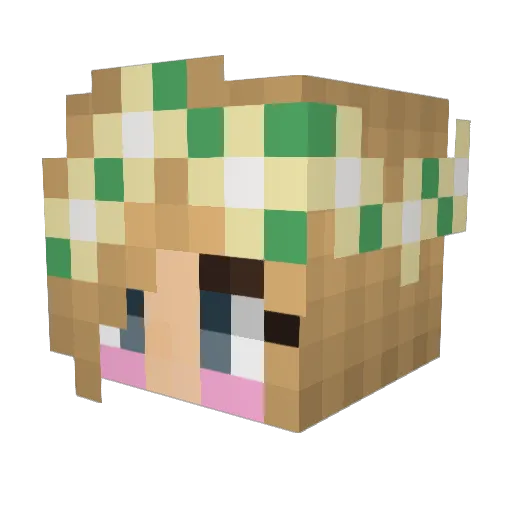 ErikTheBarbaric Minecraft avatar head, 3D render