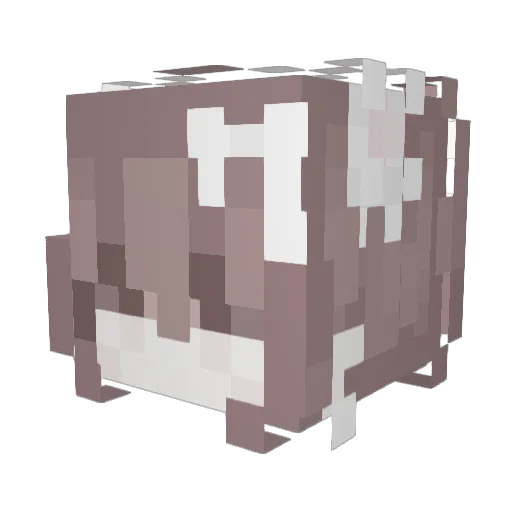 Erika11223344 Minecraft avatar head, 3D render