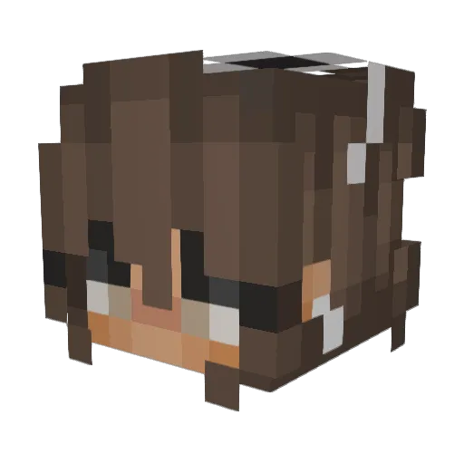 Erika2004 Minecraft avatar head, 3D render