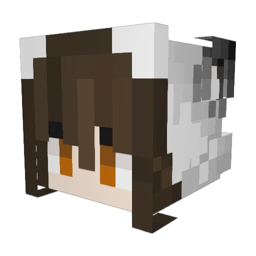Erikasao Minecraft avatar head, 3D render