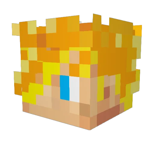 Eriks64 Minecraft avatar head, 3D render