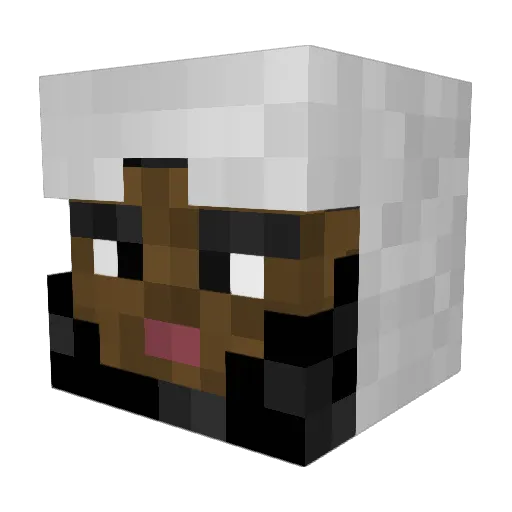 Erikson1018 Minecraft avatar head, 3D render