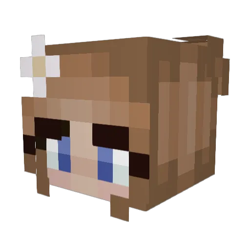 Erikxi Minecraft avatar head, 3D render