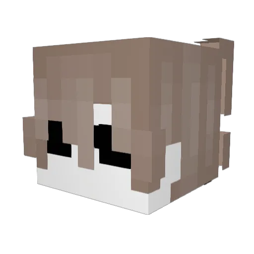 ErimiStar Minecraft avatar head, 3D render