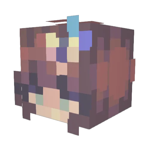 Erin211 Minecraft avatar head, 3D render