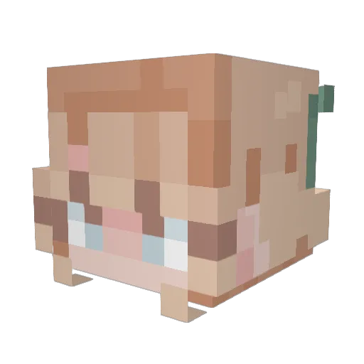 Erin30 Minecraft avatar head, 3D render