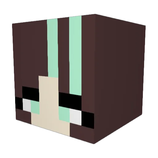 ErinDressler Minecraft avatar head, 3D render