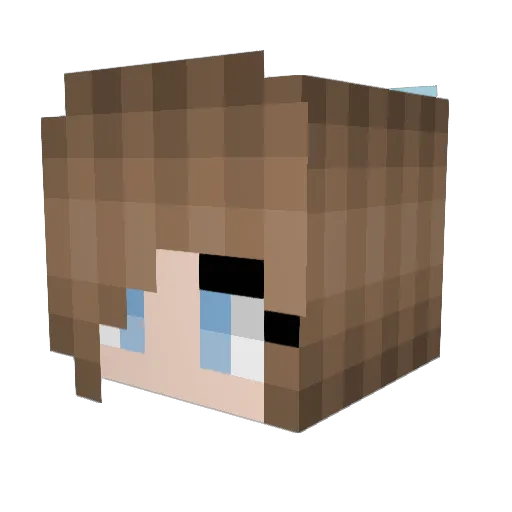 ErinFishyB70 Minecraft avatar head, 3D render