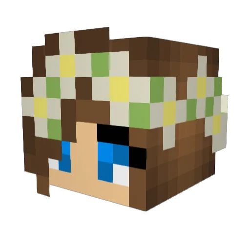 ErinG142 Minecraft avatar head, 3D render