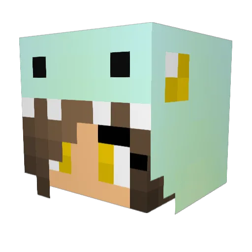 ErinK530 Minecraft avatar head, 3D render