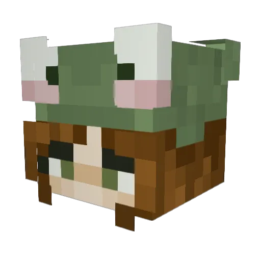 ErinLoughran Minecraft avatar head, 3D render