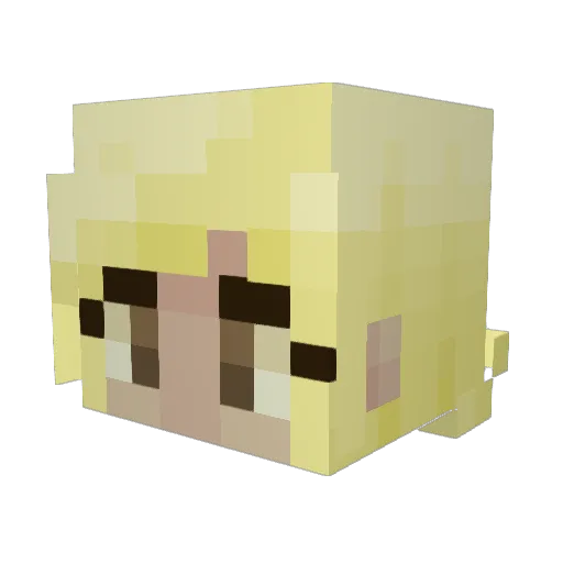 ErinM0riarty Minecraft avatar head, 3D render
