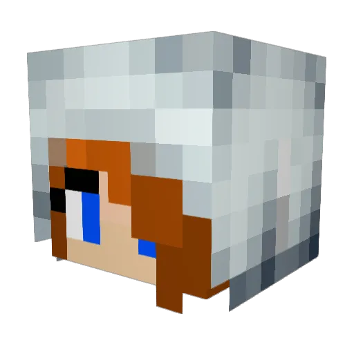 ErinTheBear99 Minecraft avatar head, 3D render