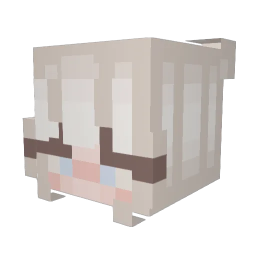 Erin_R3ynolds Minecraft avatar head, 3D render