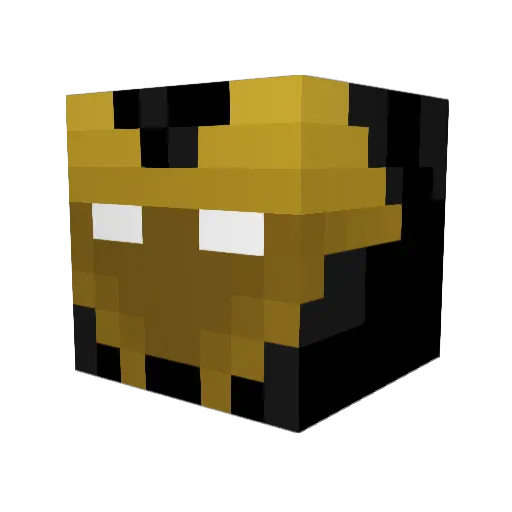 Erindel1971 Minecraft avatar head, 3D render