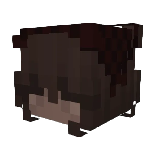 Erinnn_404 Minecraft avatar head, 3D render