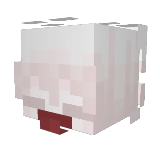 Erinuts Minecraft avatar head, 3D render