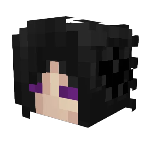 Eriox666 Minecraft avatar head, 3D render