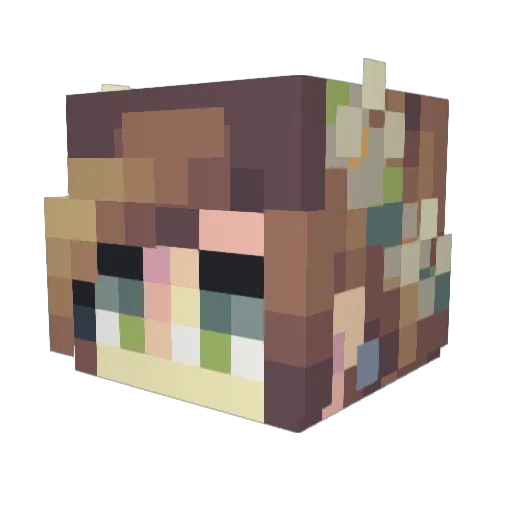 Eripuu Minecraft avatar head, 3D render